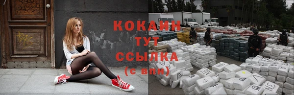 мдпв Лагань