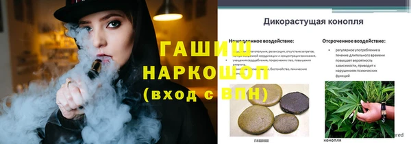 соль ск Лабытнанги