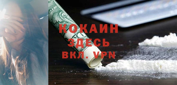 мдпв Лагань
